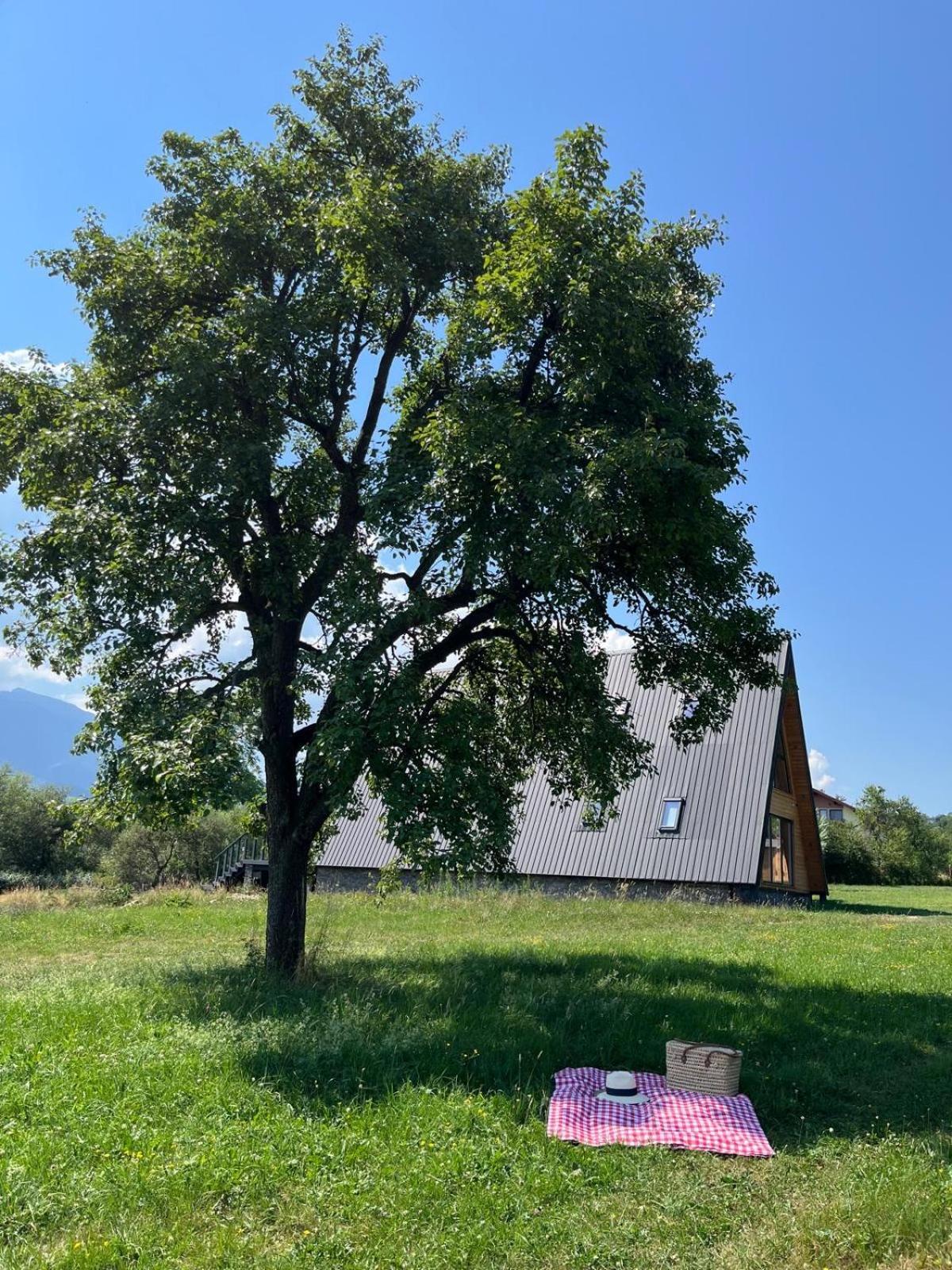 Vino Chalets Bran Sohodol  Zewnętrze zdjęcie